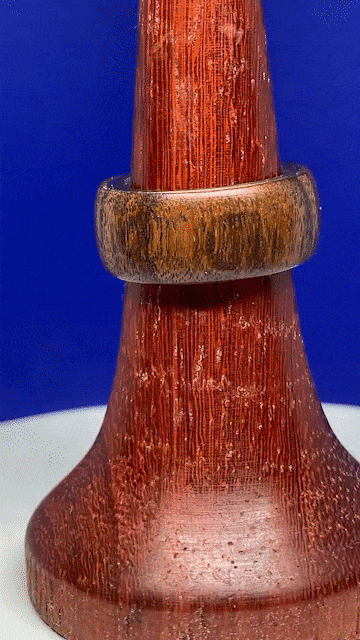 ring5_gif.gif