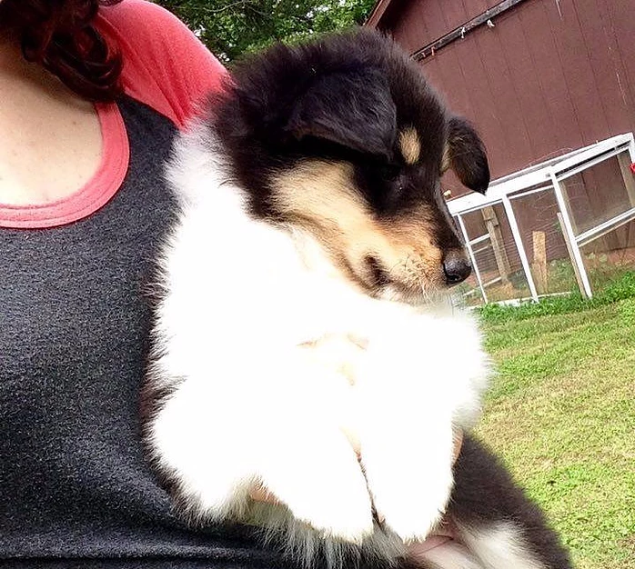 Aravis 6 weeks
