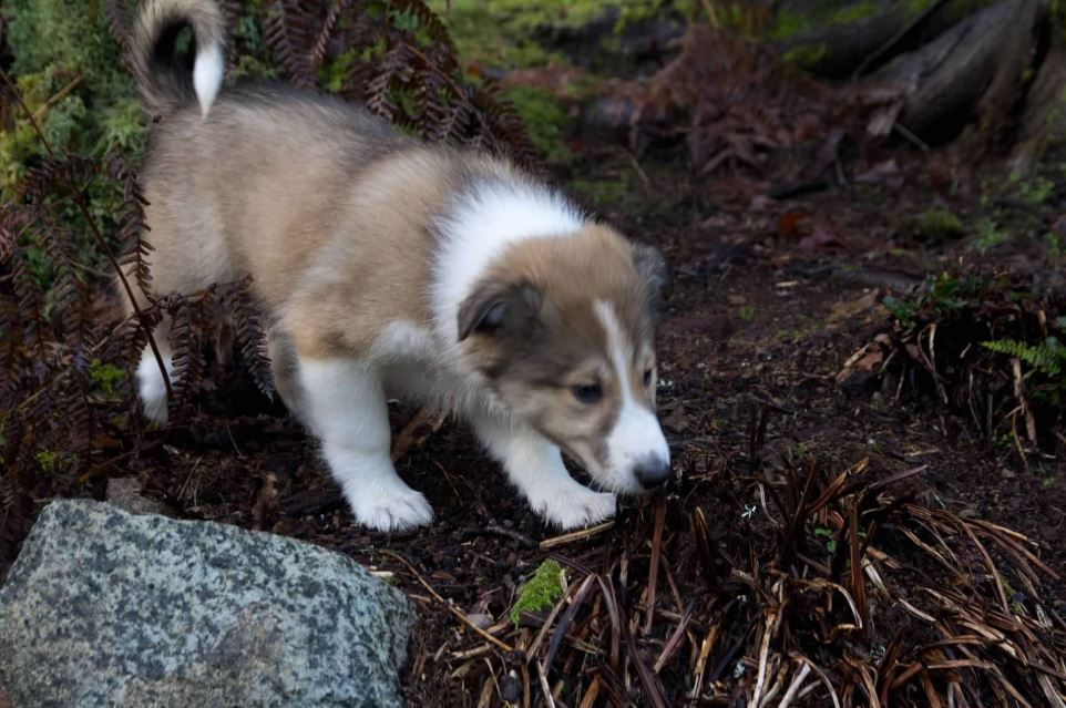 Exploring