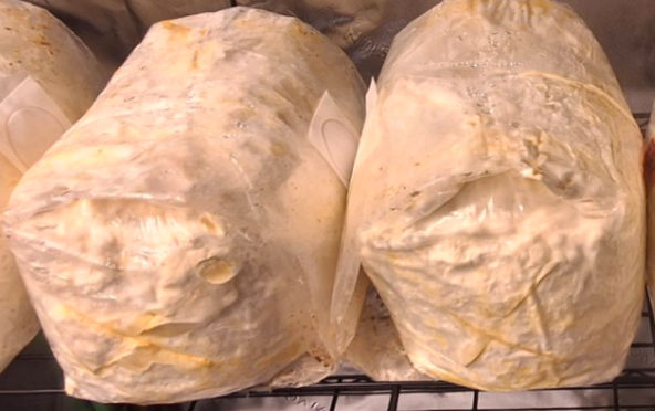 Mycelium is the living network that supports mushroom growth, but it is different from the finished fruiting body.