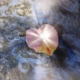 23 au 25 mai en Belgique