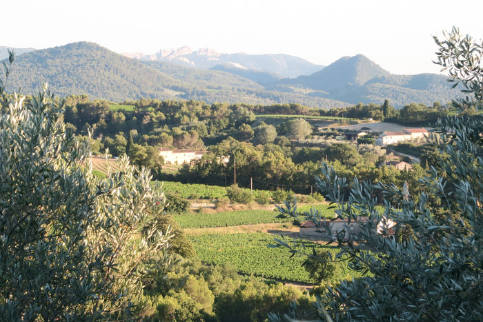 Domaine des Adrès - Juillet/Août 2016