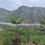 Thumbnail: Nature Embraced Residential Plots With Unmatched Views In Dehradun