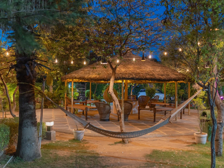 Your Next Staycation: Exploring the Best Resort Near Chandigarh
