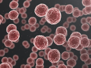 영양 조사·사망원인 통계 연계, 건강·사망 관련성 연구 활성화 기대