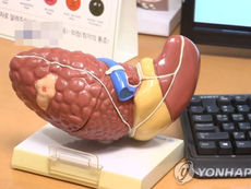 "'간헐적 절식'이 매일 적게 먹는 것보다 지방간 감소 효과 커"