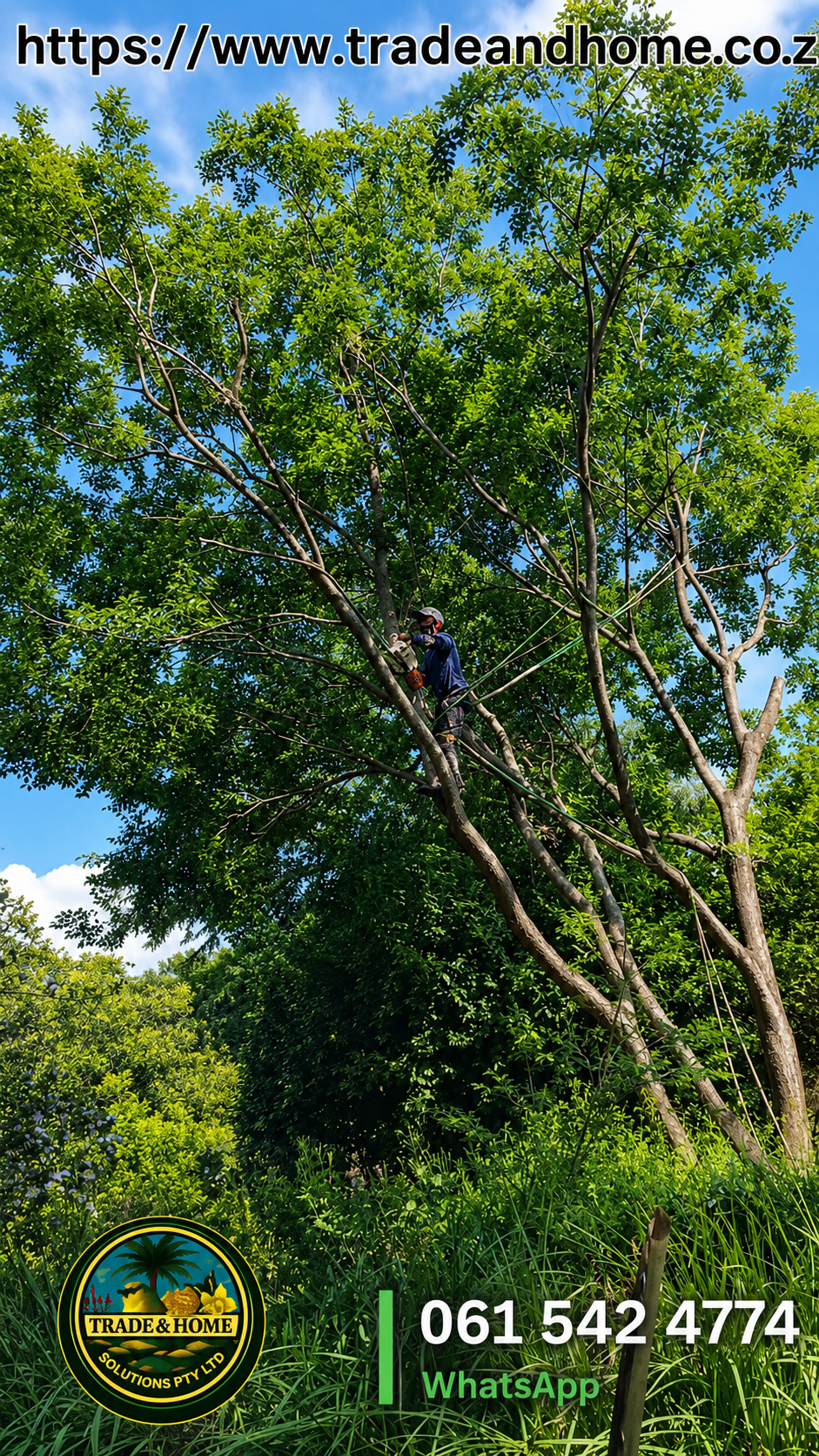 Tree Climber Removing Heavy Overhanging Branches | Illovo, Sandton