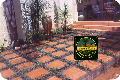 Mondo grass with pavers