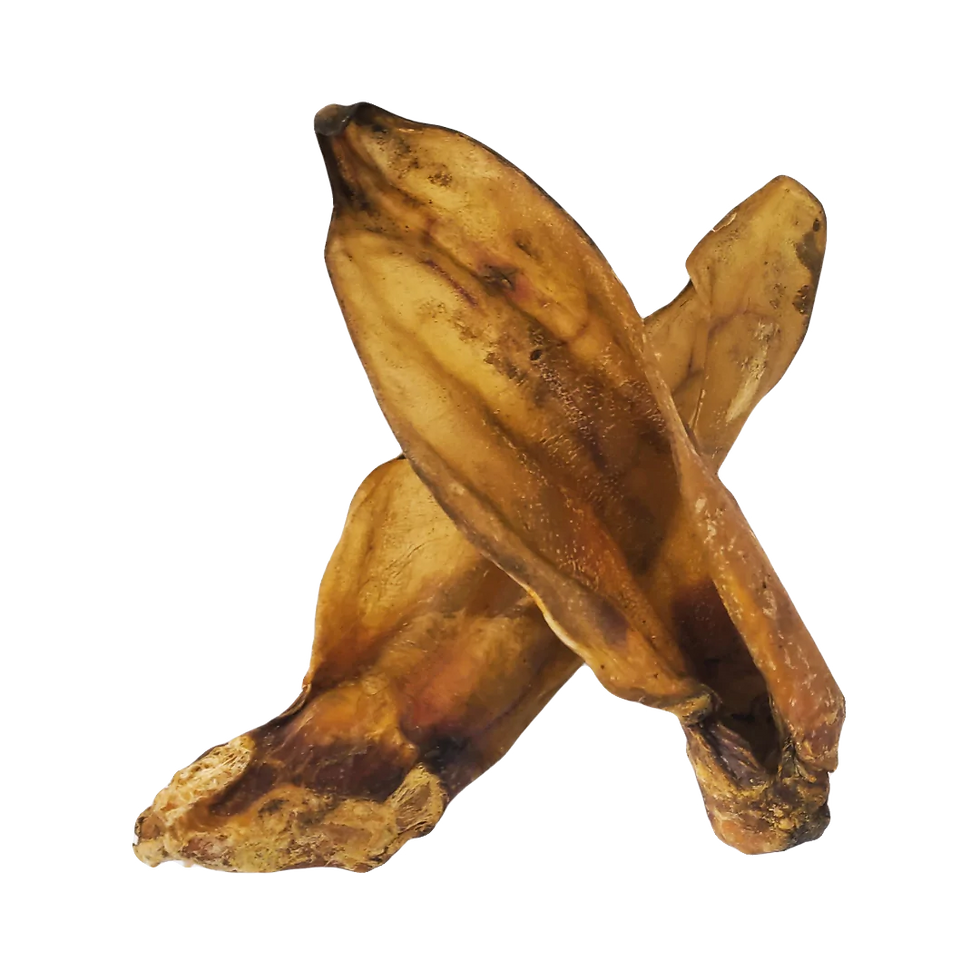 Large Cow (Dino) Ears