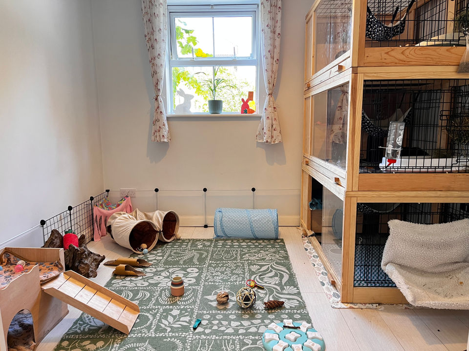 Small animals room setup