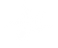 white flower graphic