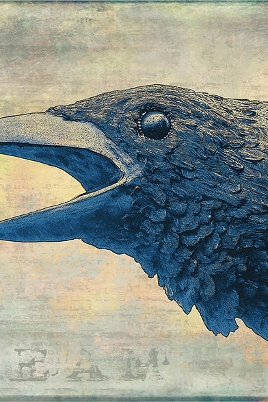 Caw.jpg