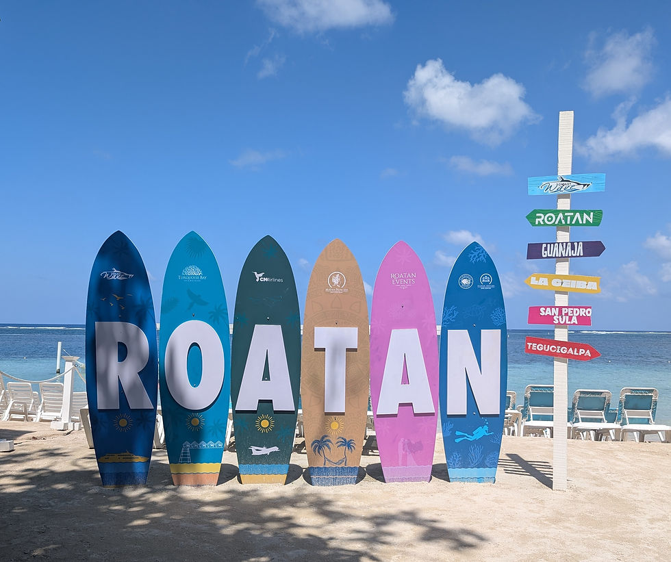 Welcome to the island