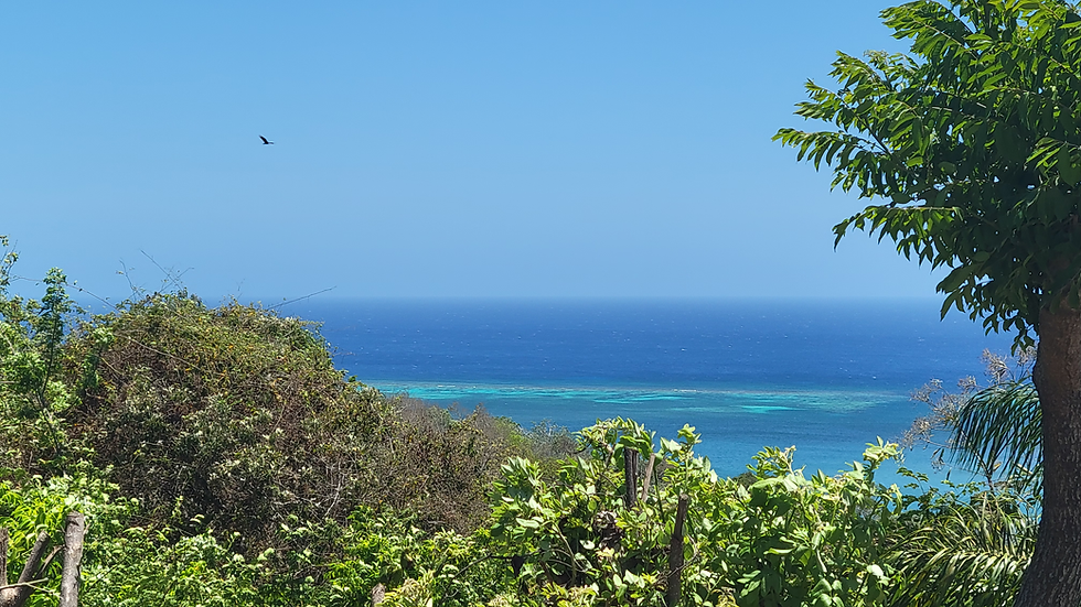Mountain top view of Caribbean Sea
