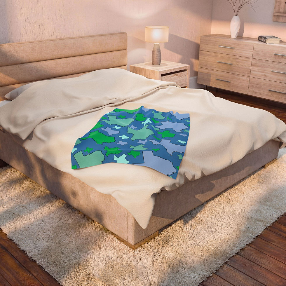 Thumbnail: Velveteen Plush Blanket – Blue & Green Texas Patchwork Throw