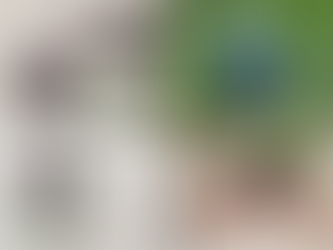 今年のベリー関連のこと