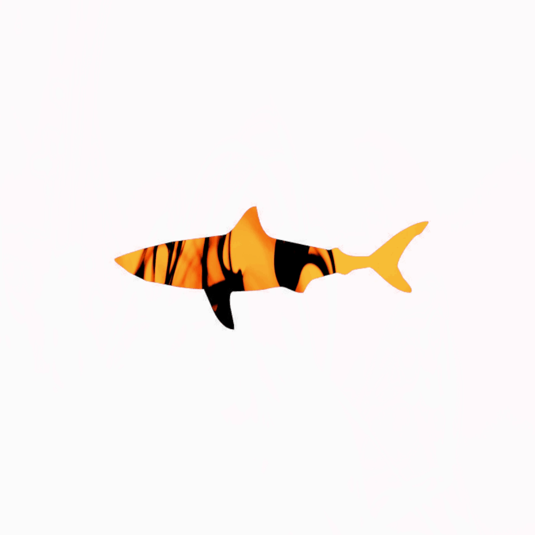 Orange Marble Shark.gif