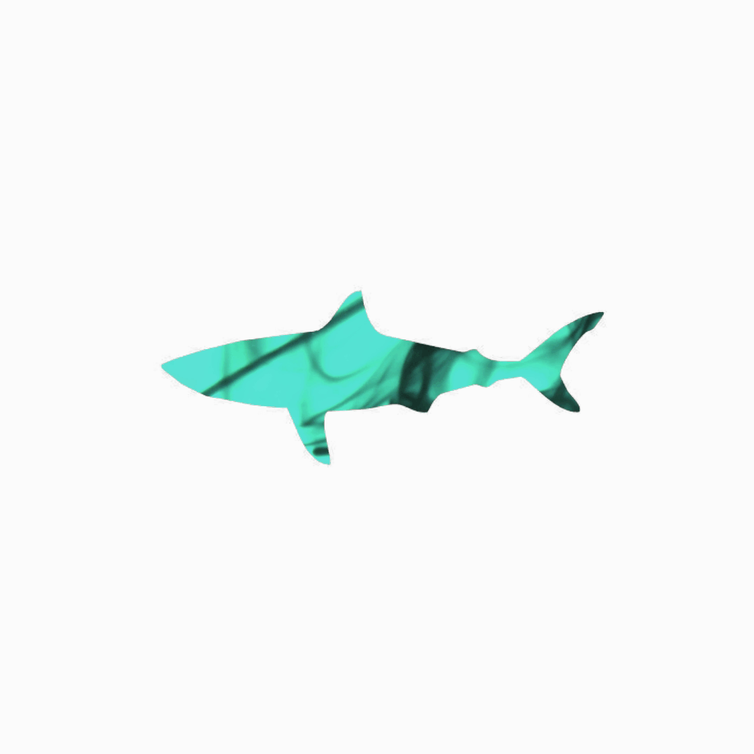 Blue Marble Shark.gif