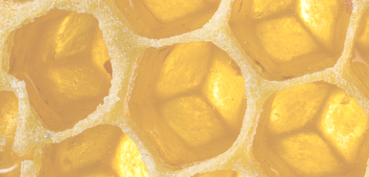 Honeycomb Closeup_edited.png