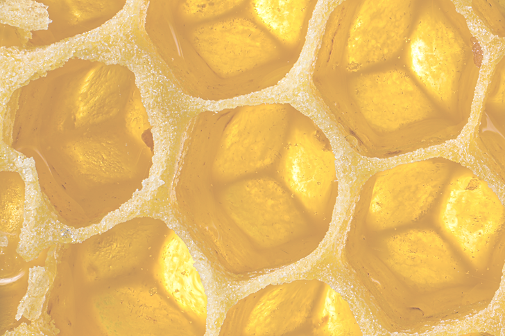 Honeycomb Closeup_edited.png