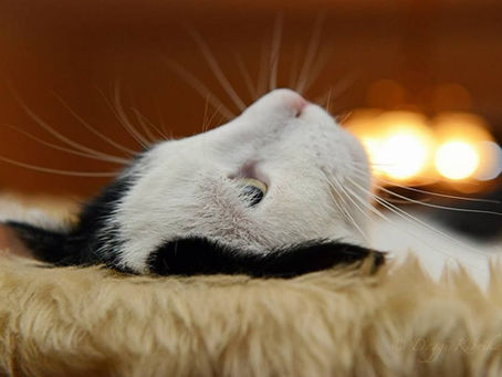 Acupressure For Waking At Night