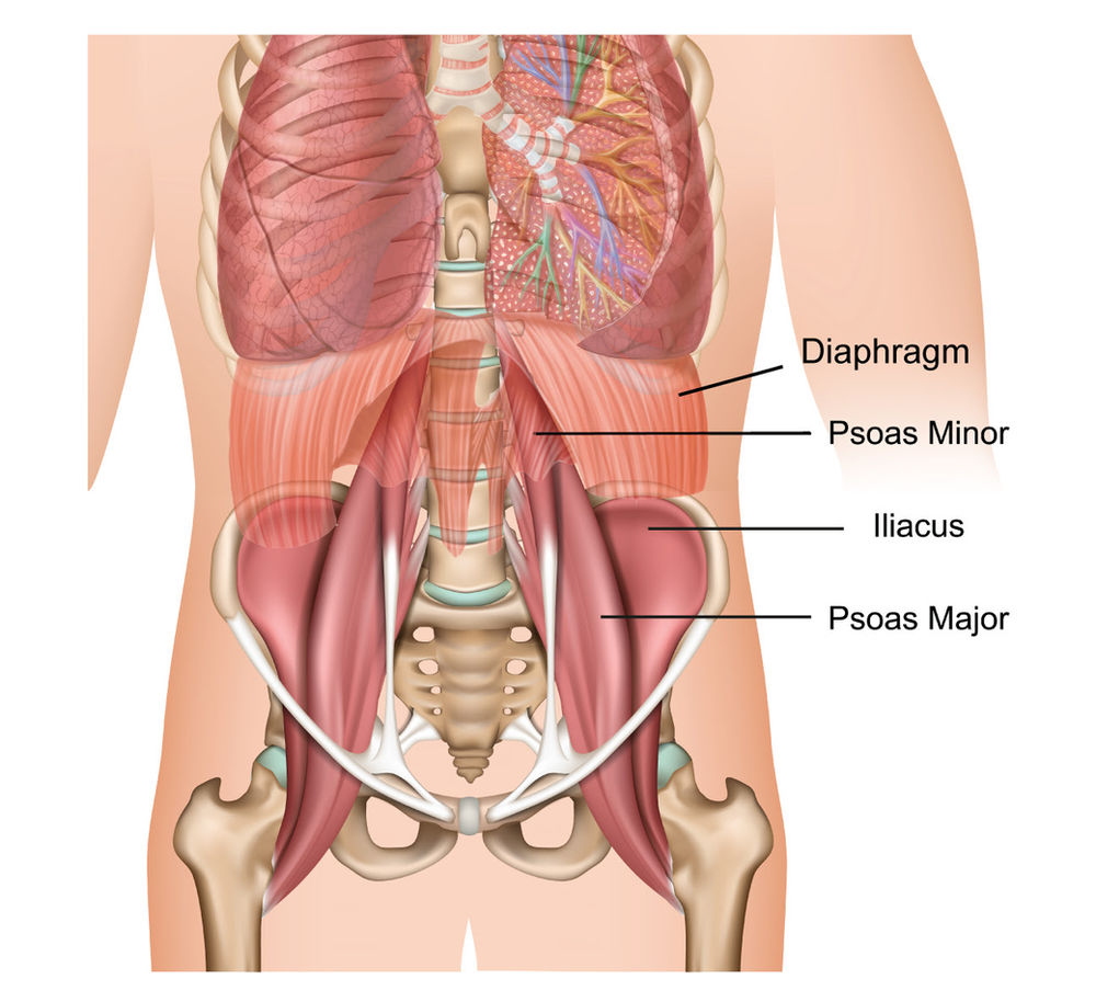 How the Kidney Grasps the Lung Qi