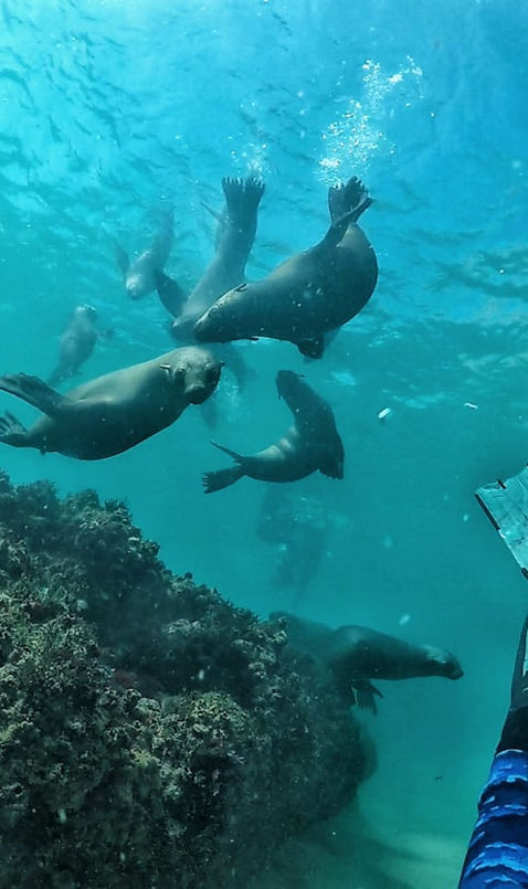 Offshore Adventures (5).jpg