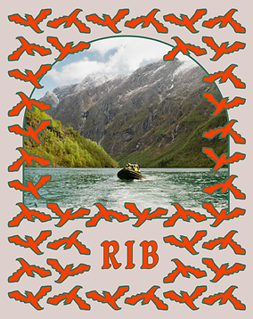 RIB_1.png