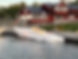 IMG_2132.jpeg