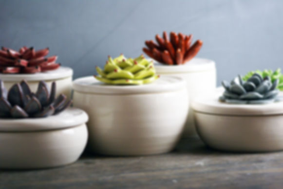 Custom Ceramic Bowls with Cactus Lids