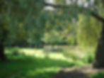 bush house campsite