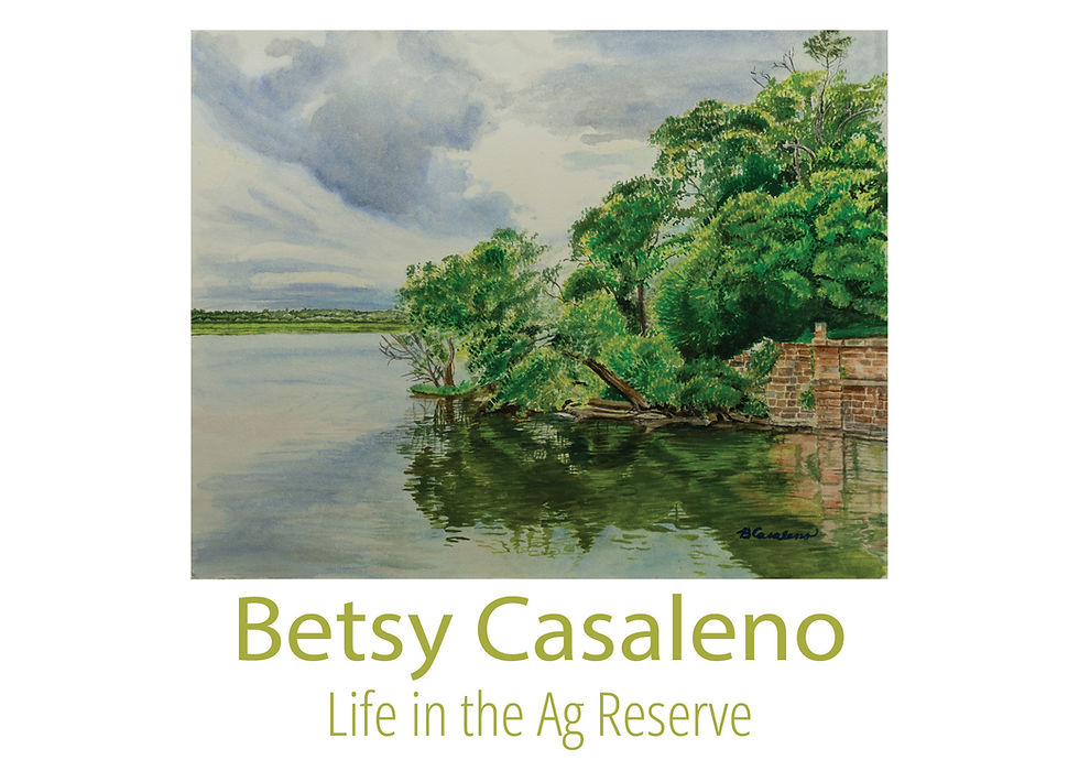 Artist Reception for Betsy Casaleno, "Life in the Ag Reserve"