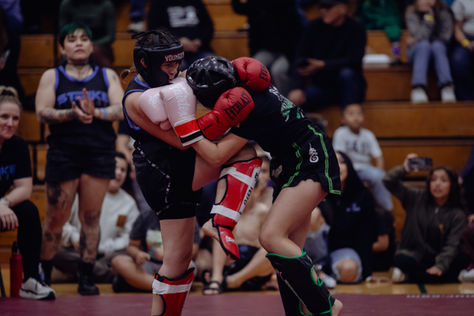 CSB Showcase Series I Recap!