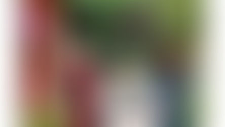 3 personnes dans un jardin dont une dame agée en fauteuil