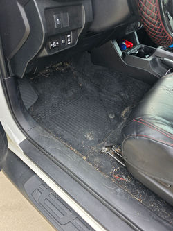 Toyota Full Detail