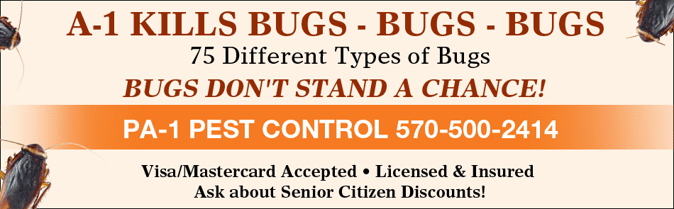 Pest Control Animation