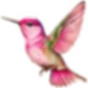 Colibri Holistic Healing