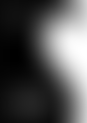 Nassim Nicholas Taleb: Czarny łabędź. Jak nieprzewidywane zdarzenia rządzą naszym życiem