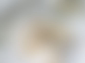 For Those Seeking A Partner..