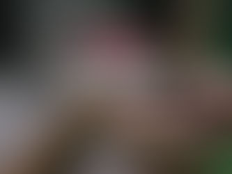 Be Gentle With Yourself