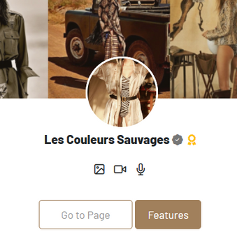 Fashion brand profile card with collage images, profile photo and action buttons. Les Couleurs Sauvages profile card with fashion images