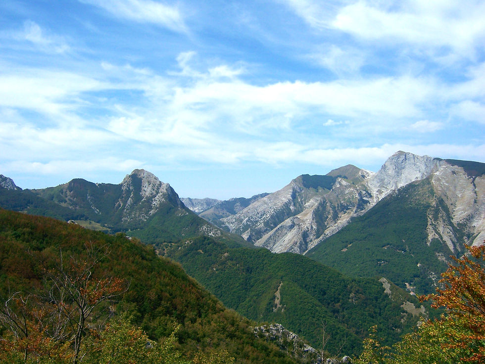 Picture 003_edited.jpg