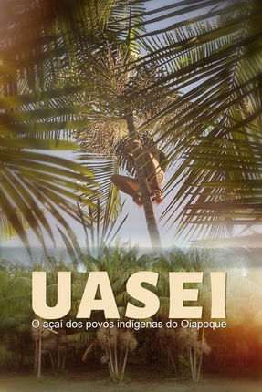 uasei o açai dos povos indigenas amazoniaplay