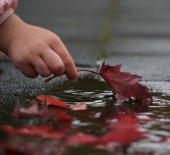 Puddle & Leaf - autumn-2917472.jpg
