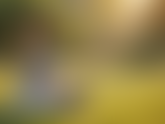 Feminine Balance: A Vedic–Psychological Perspective