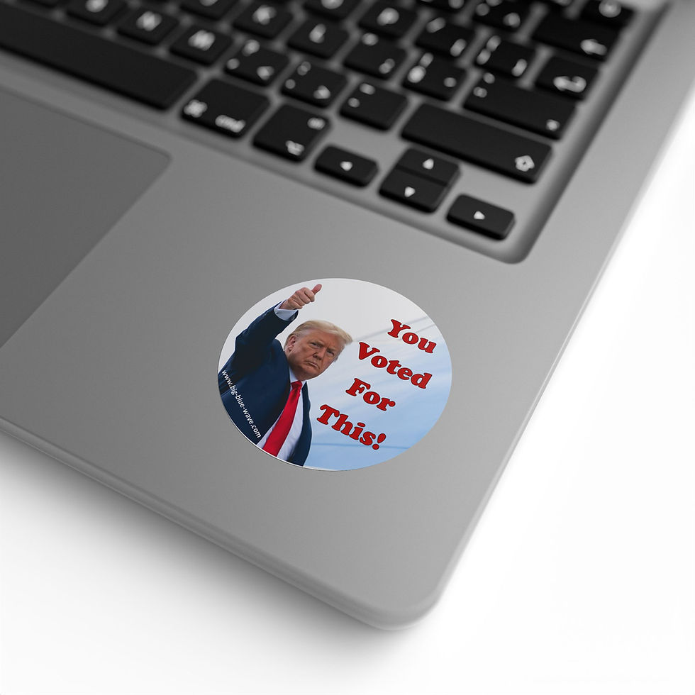 Thumbnail: "You Voted For This" Round Sticker Label Rolls