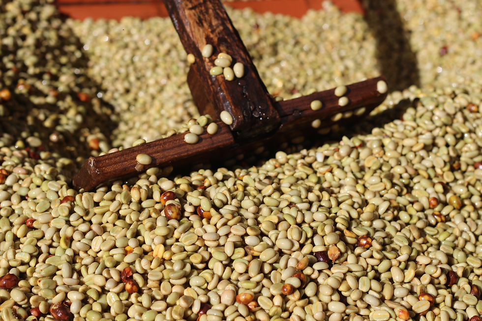 Screen Shot 2014-07-30 at 3.30.50 PM.png