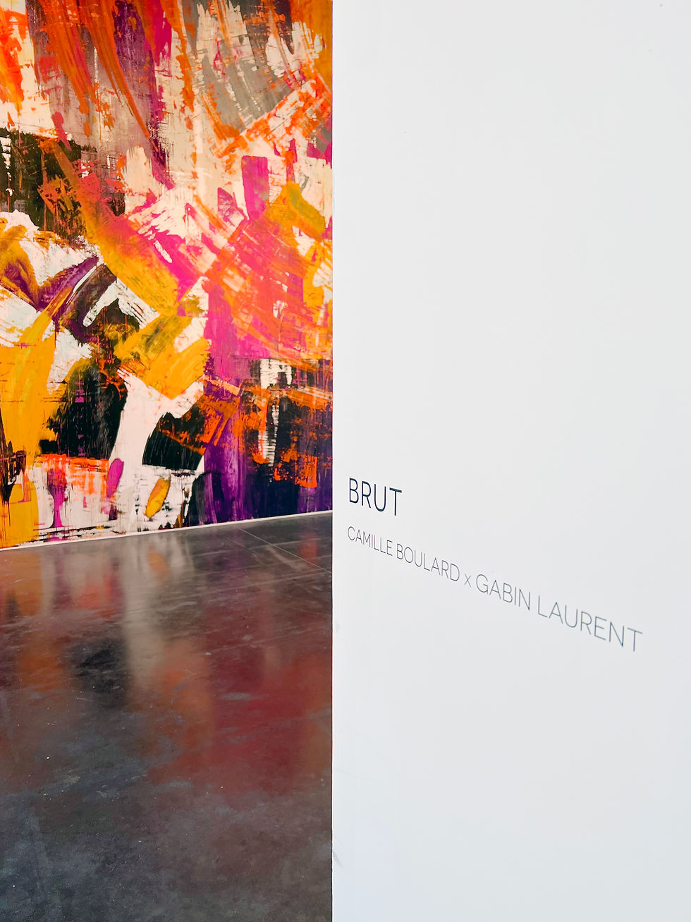 Camille Boulard Hangar 107 "Brut"