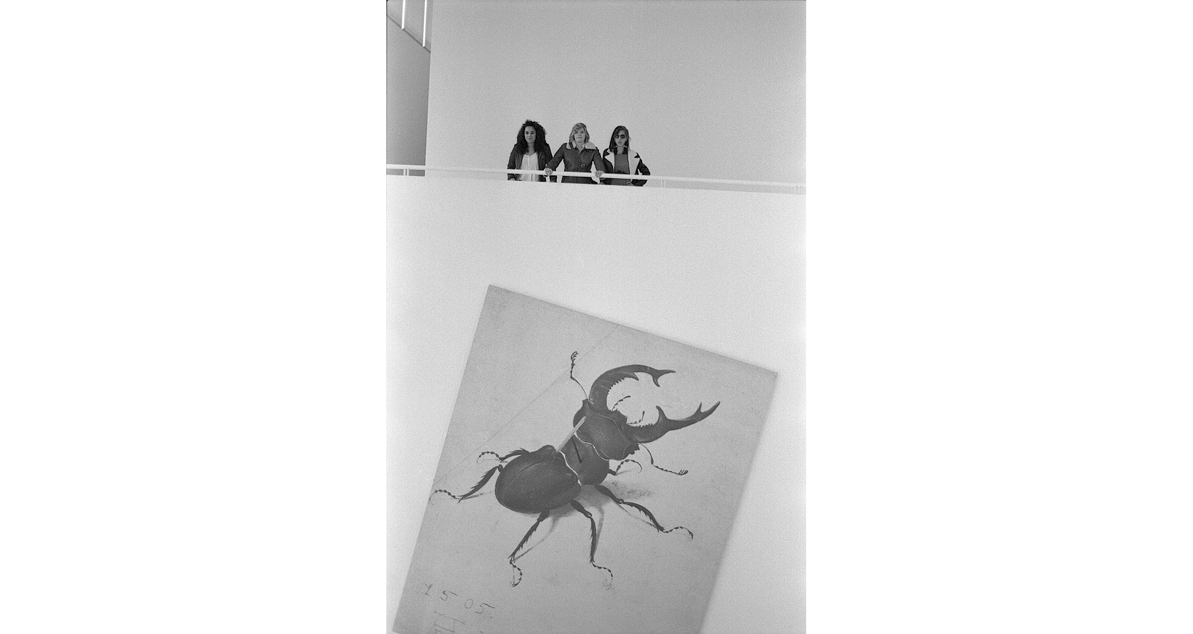 Specimen (After Dürer)