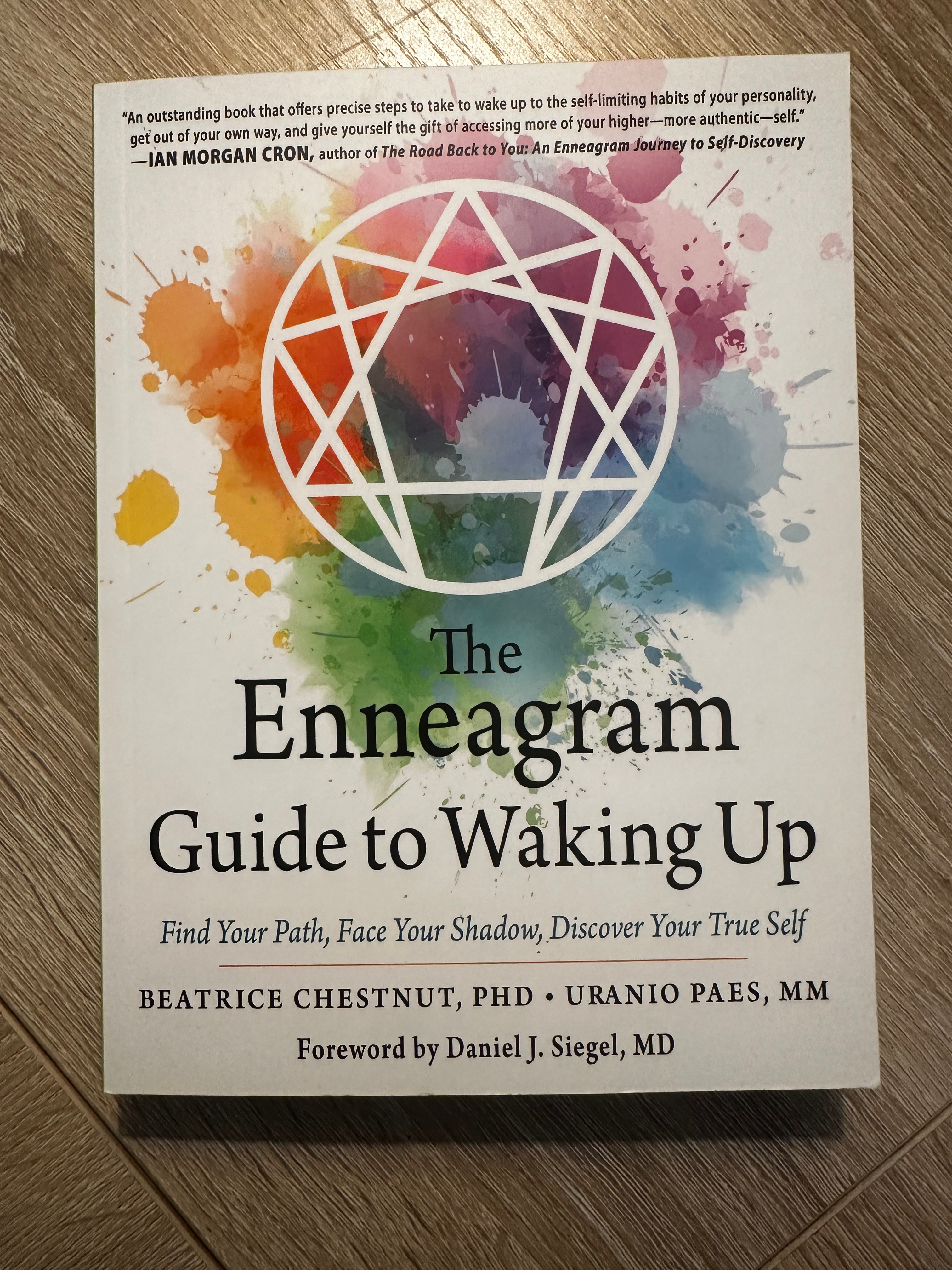 The Enneagram Guide to Waking Up Book